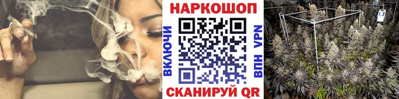 Где найти наркотики Тара Бошки Шишки  A-PVP  ТГК  Меф  ГАШ 