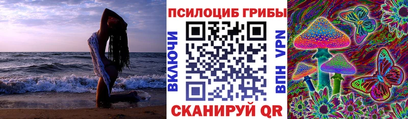 OMG рабочий сайт  Тара  Псилоцибиновые грибы ЛСД 