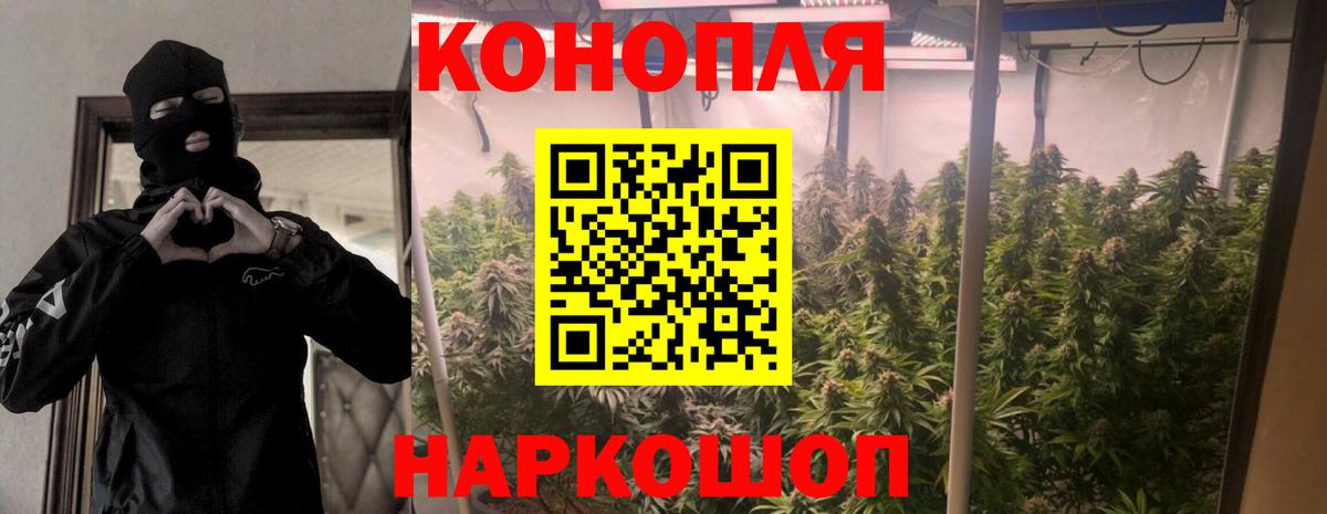 Шишки марихуана сатива Тара